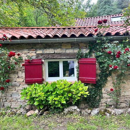 Chambre En Bordure D'Aveyron Bed & Breakfast Saint-Antonin Exterior photo