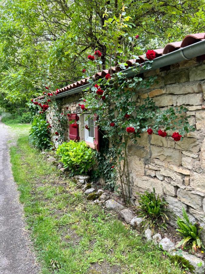 Chambre En Bordure D'Aveyron Bed & Breakfast Saint-Antonin Exterior photo